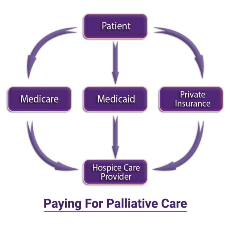 How Does Palliative Care System Work