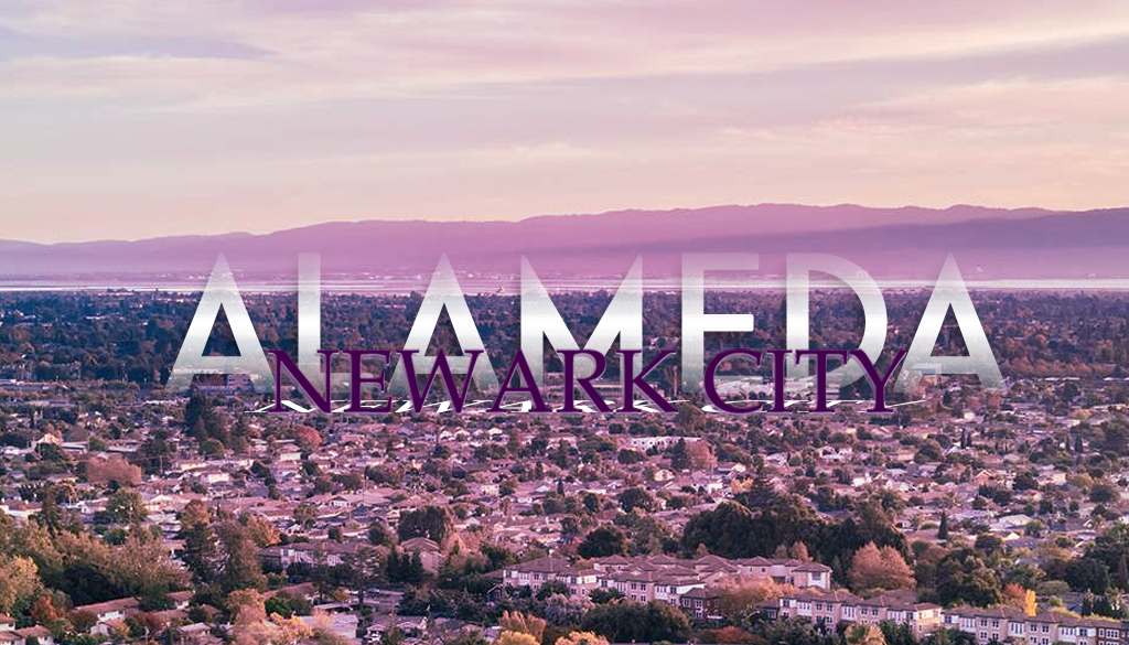 Newark City California