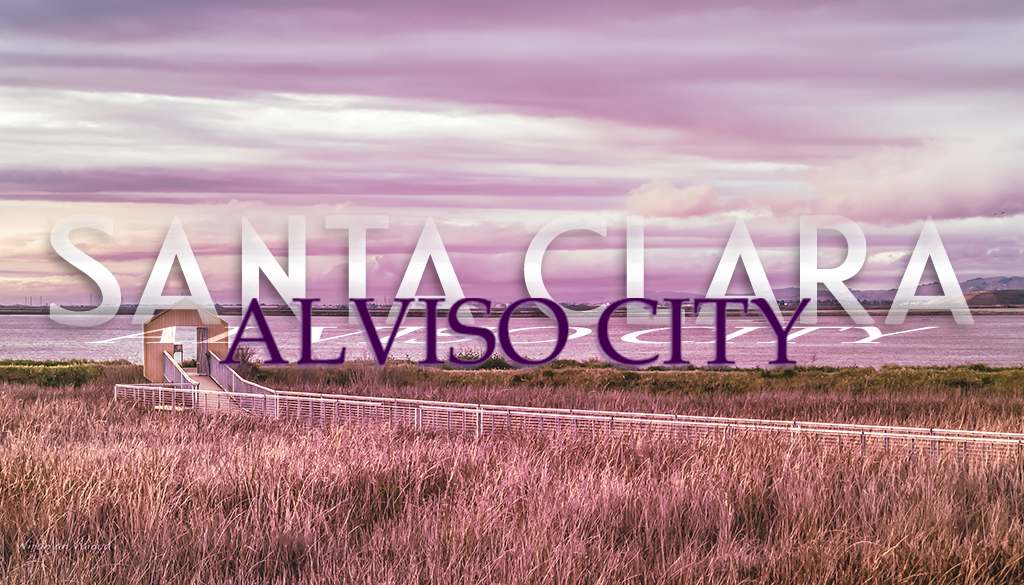 Alviso City