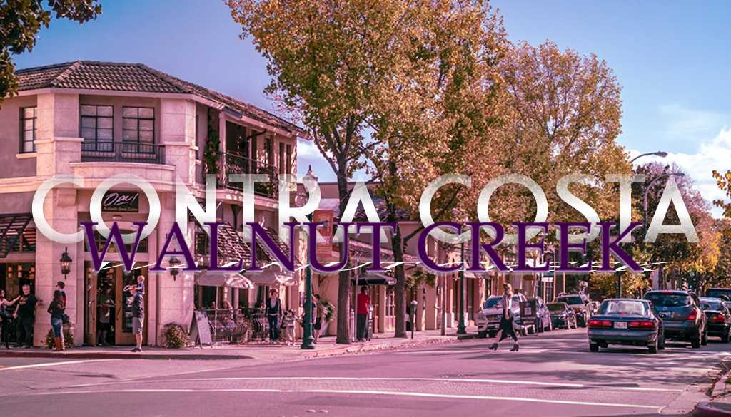 Walnut Creek City