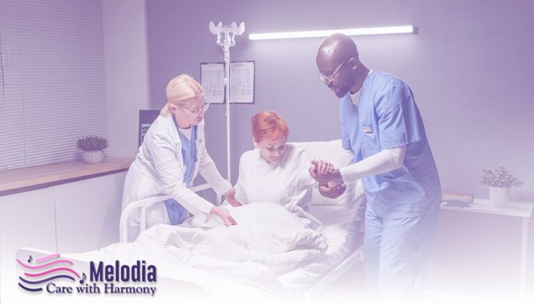 What Services Do Palliative Care Doctors Provide To Their Patients