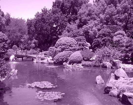 Hospice Care in San Mateo City